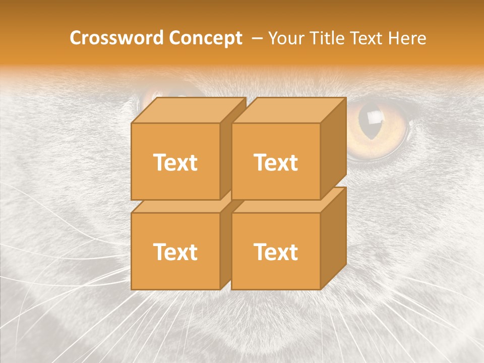 Household Charming Beautiful PowerPoint Template