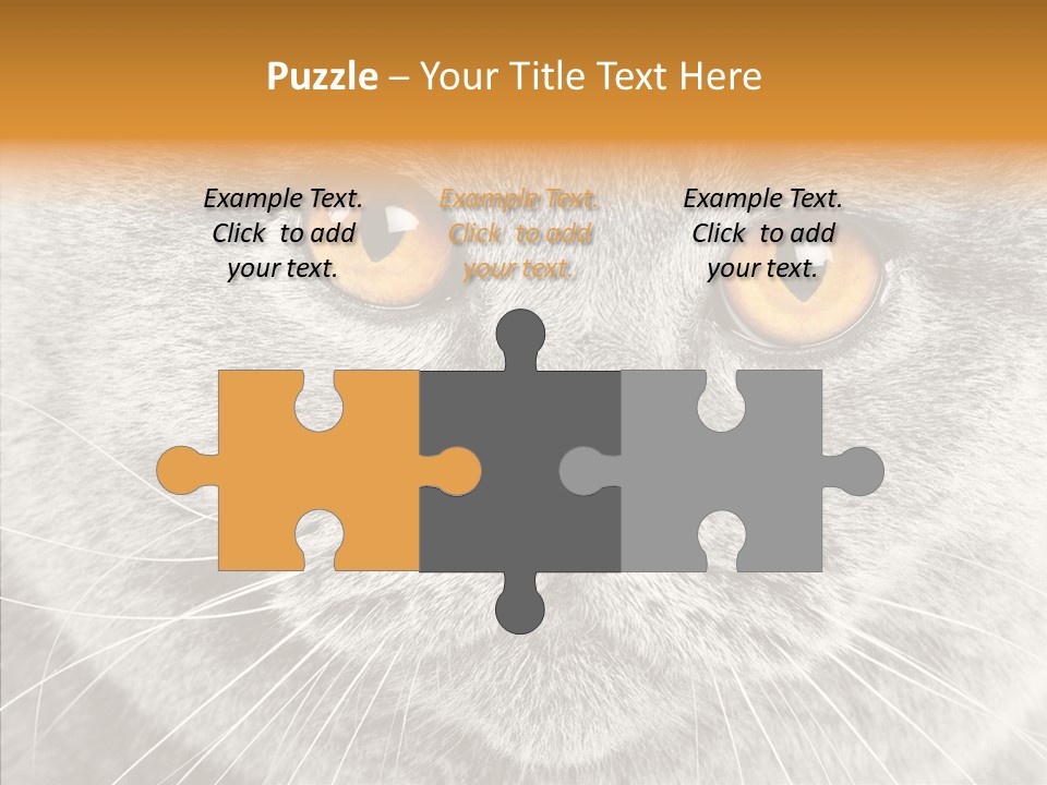 Household Charming Beautiful PowerPoint Template