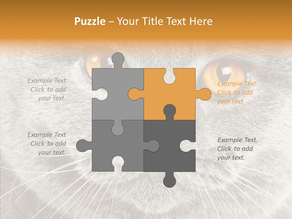 Household Charming Beautiful PowerPoint Template