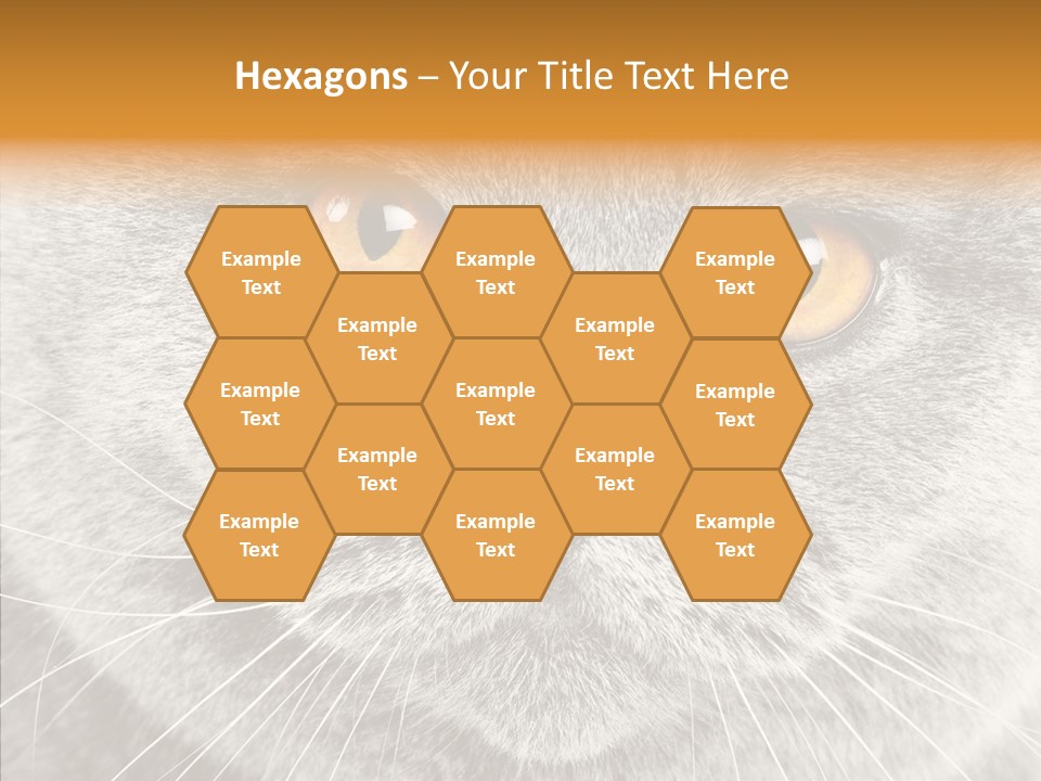 Household Charming Beautiful PowerPoint Template