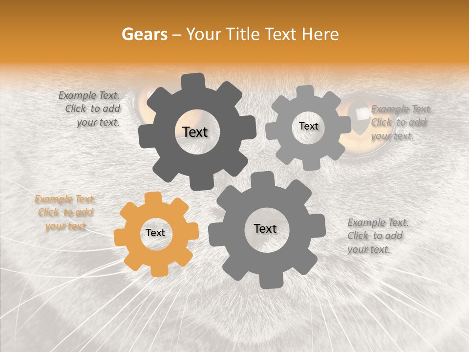 Household Charming Beautiful PowerPoint Template