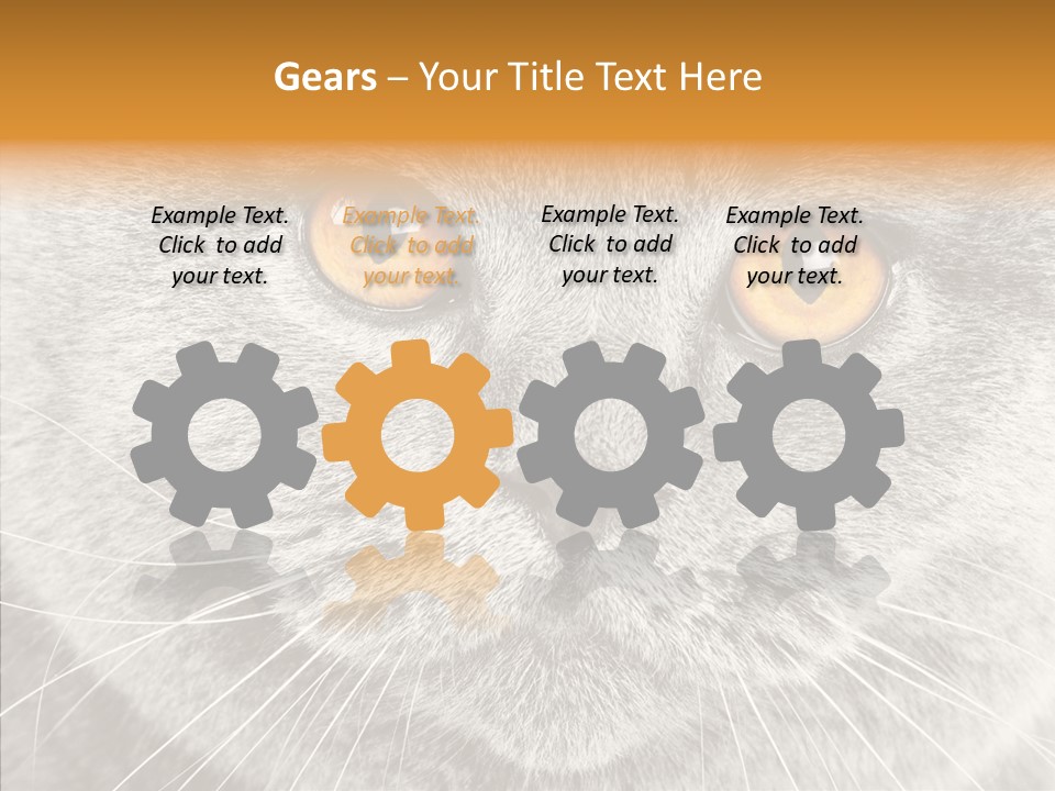 Household Charming Beautiful PowerPoint Template