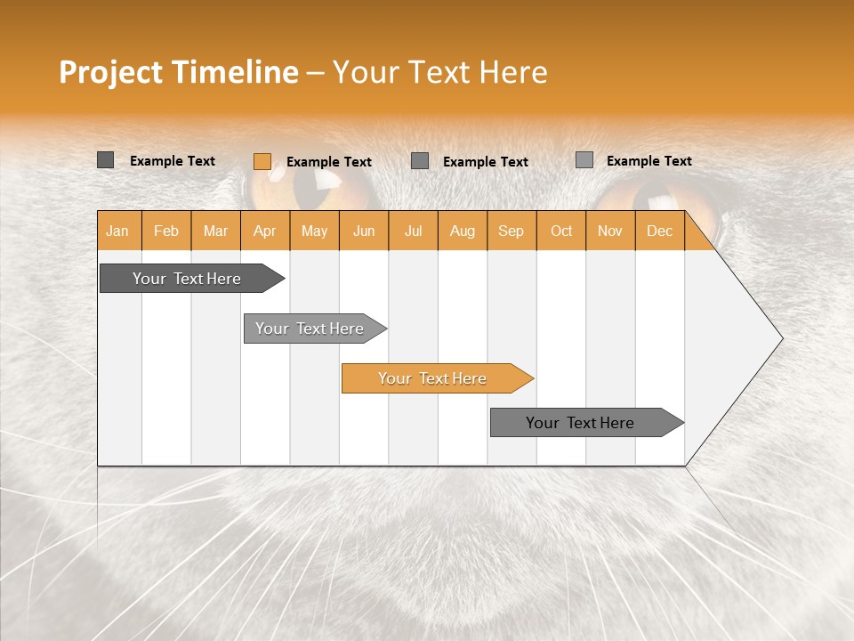 Household Charming Beautiful PowerPoint Template