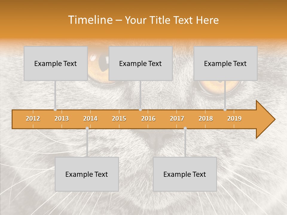 Household Charming Beautiful PowerPoint Template