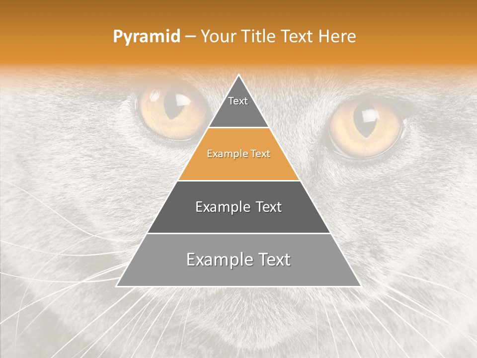 Household Charming Beautiful PowerPoint Template