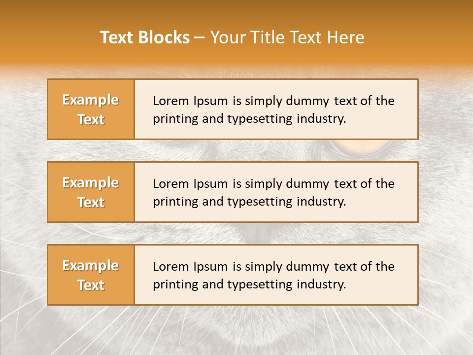Household Charming Beautiful PowerPoint Template