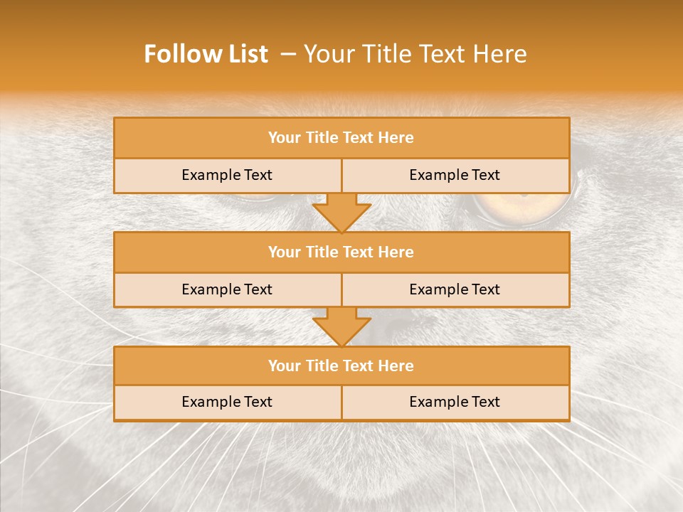 Household Charming Beautiful PowerPoint Template