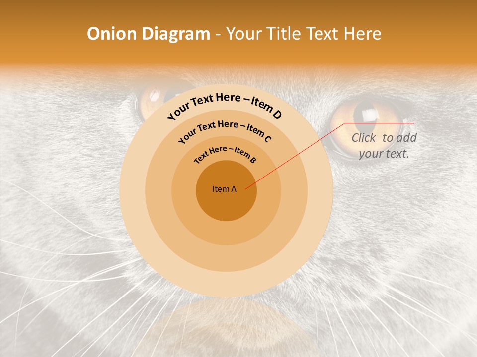 Household Charming Beautiful PowerPoint Template