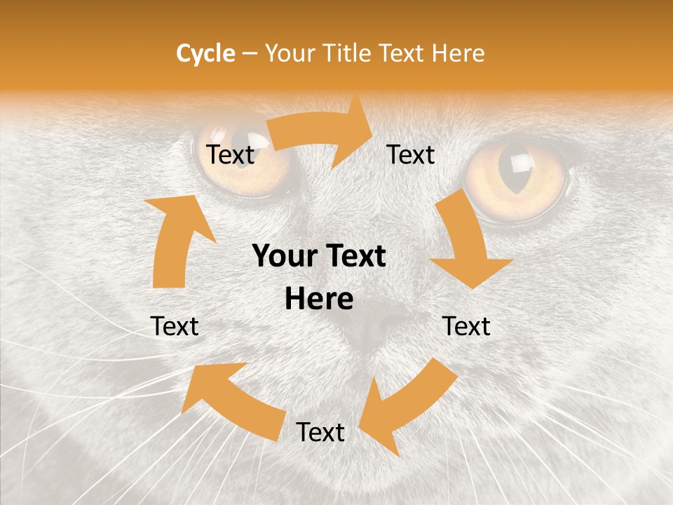 Household Charming Beautiful PowerPoint Template
