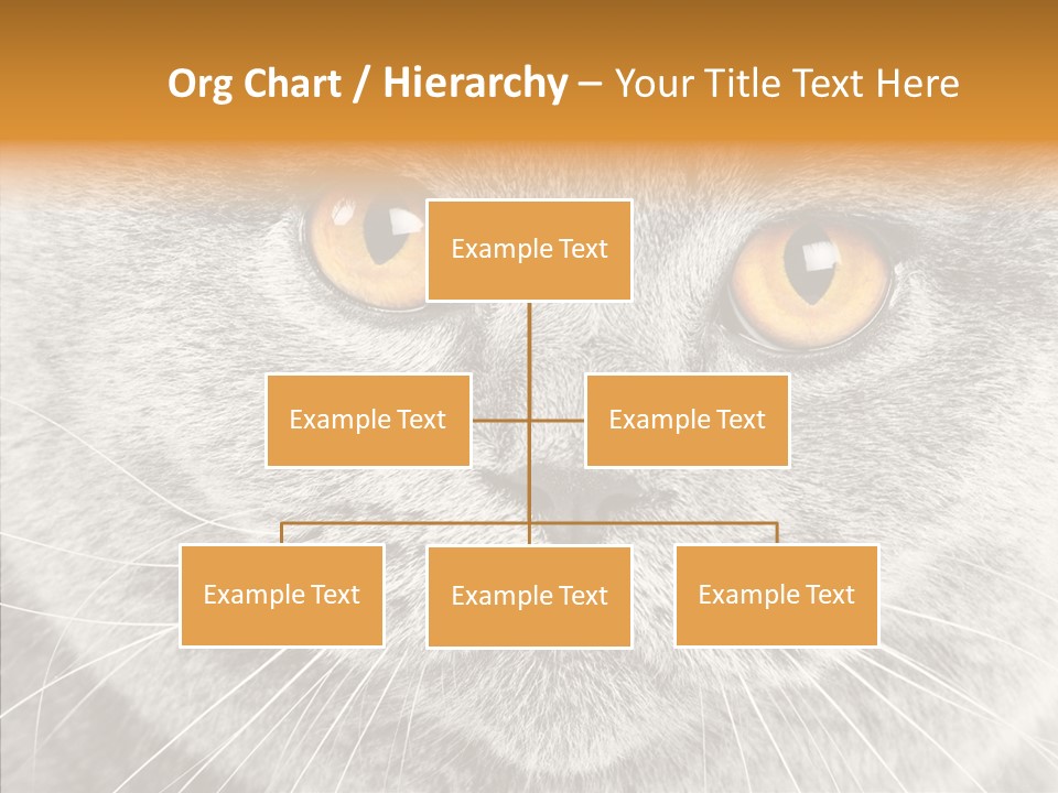 Household Charming Beautiful PowerPoint Template