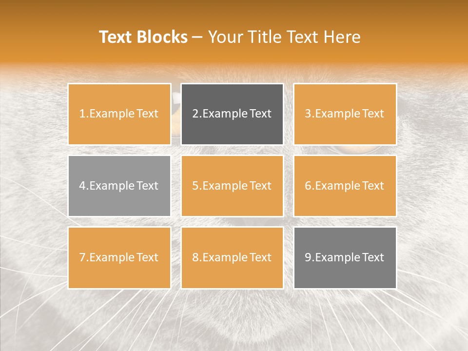Household Charming Beautiful PowerPoint Template