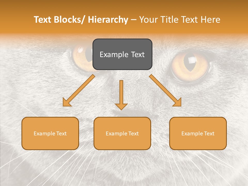 Household Charming Beautiful PowerPoint Template