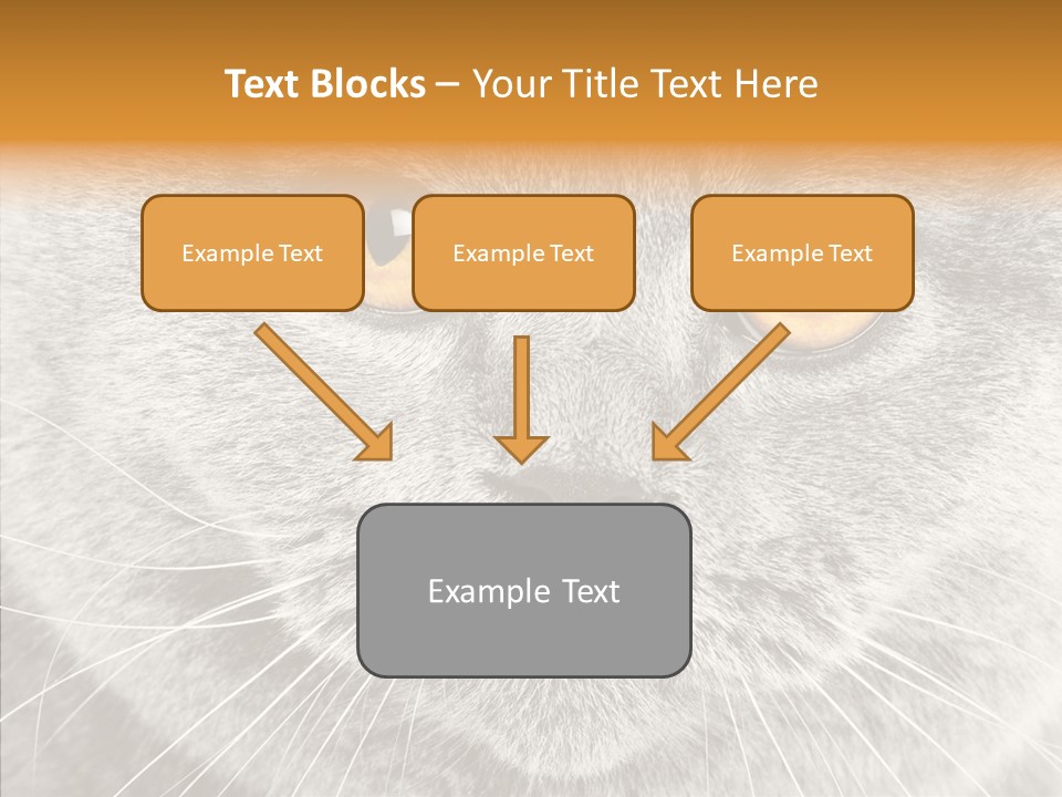 Household Charming Beautiful PowerPoint Template