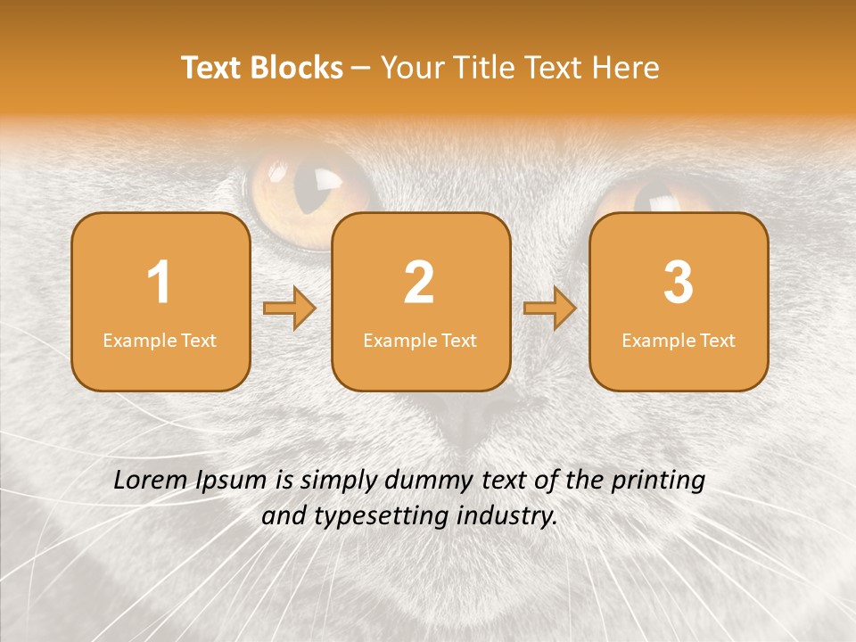 Household Charming Beautiful PowerPoint Template