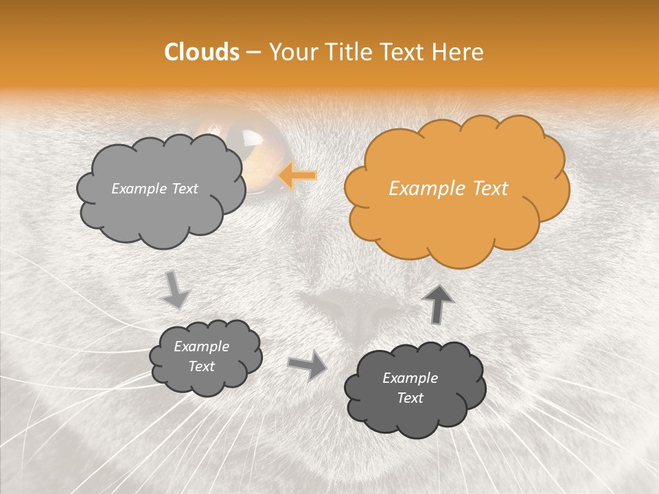 Household Charming Beautiful PowerPoint Template
