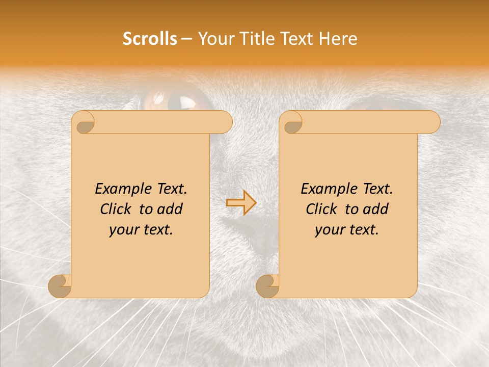 Household Charming Beautiful PowerPoint Template
