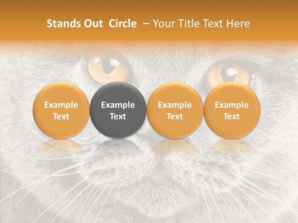 Household Charming Beautiful PowerPoint Template