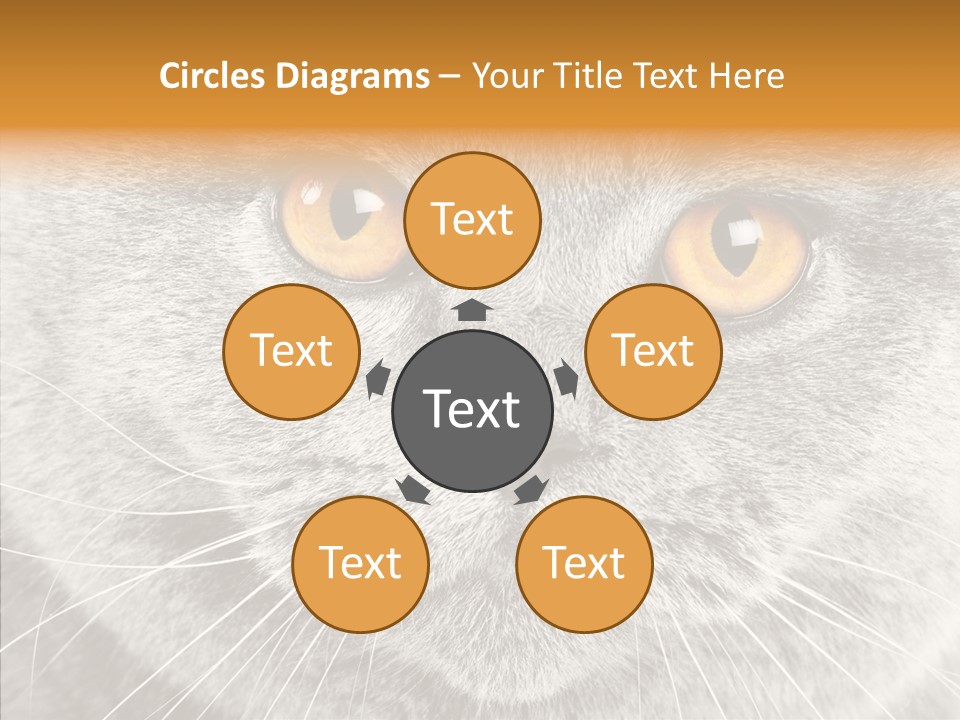 Household Charming Beautiful PowerPoint Template