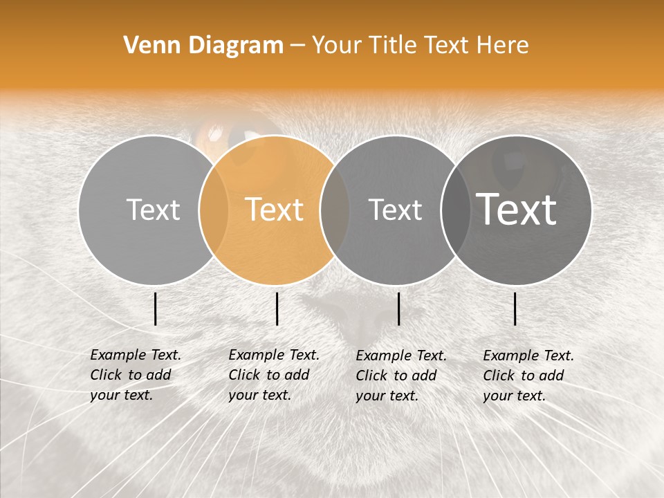Household Charming Beautiful PowerPoint Template