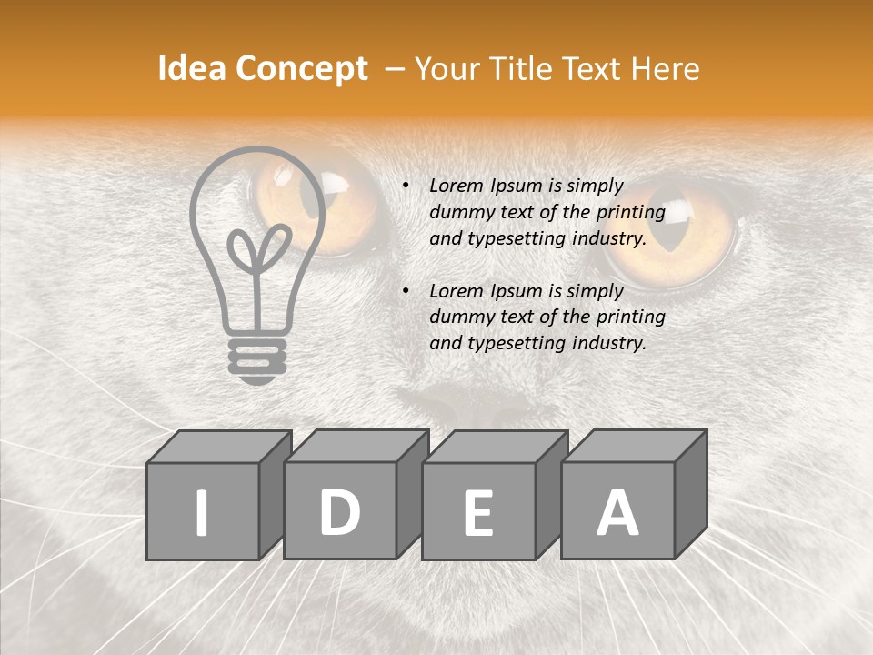 Household Charming Beautiful PowerPoint Template