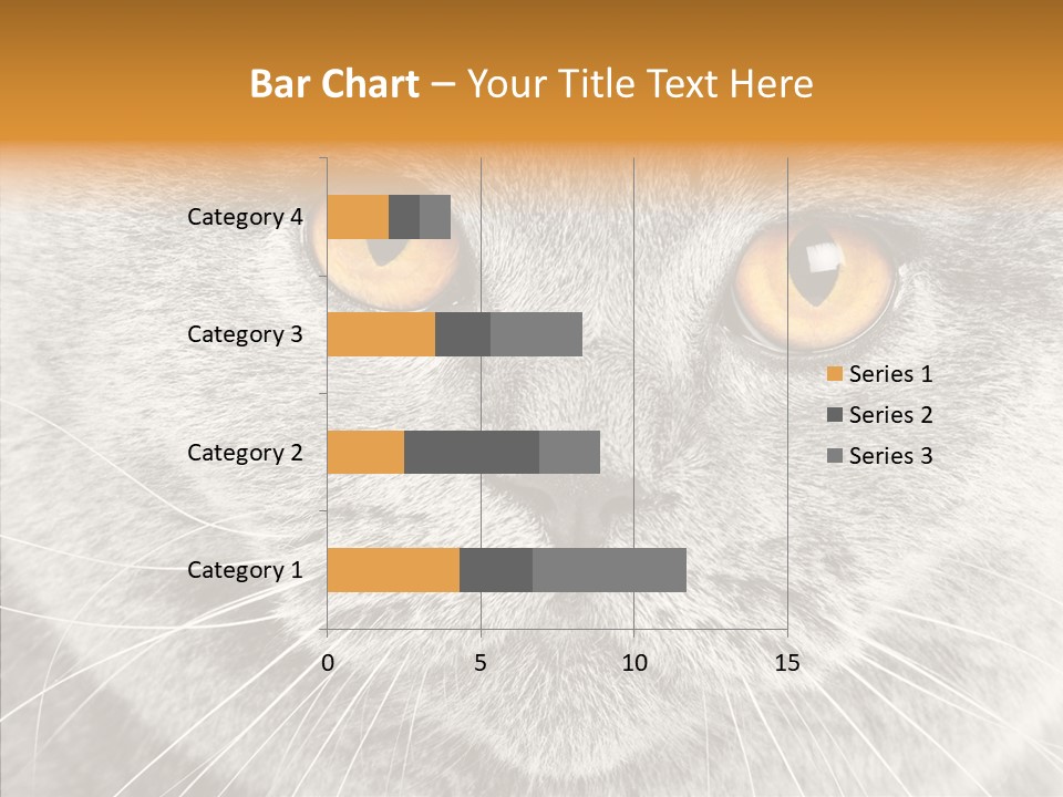 Household Charming Beautiful PowerPoint Template