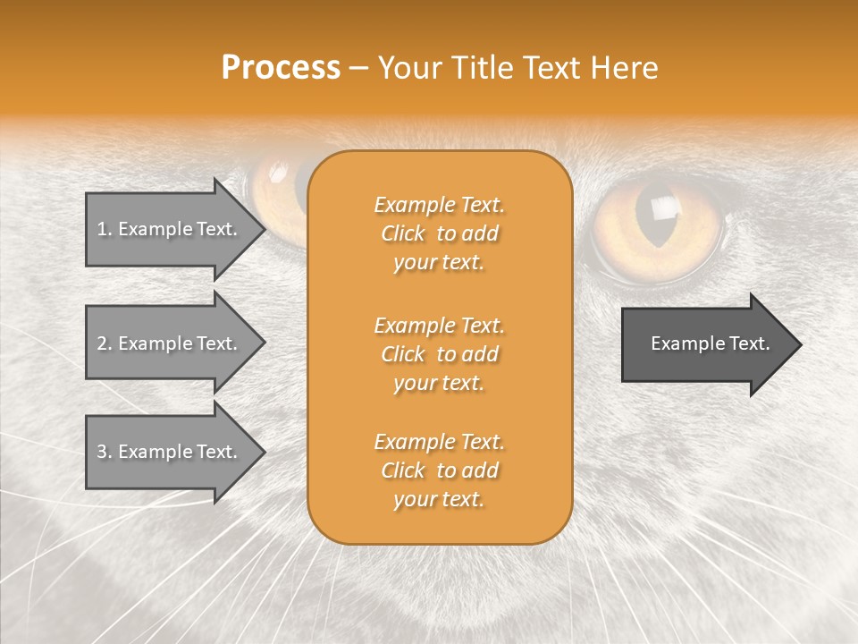 Household Charming Beautiful PowerPoint Template