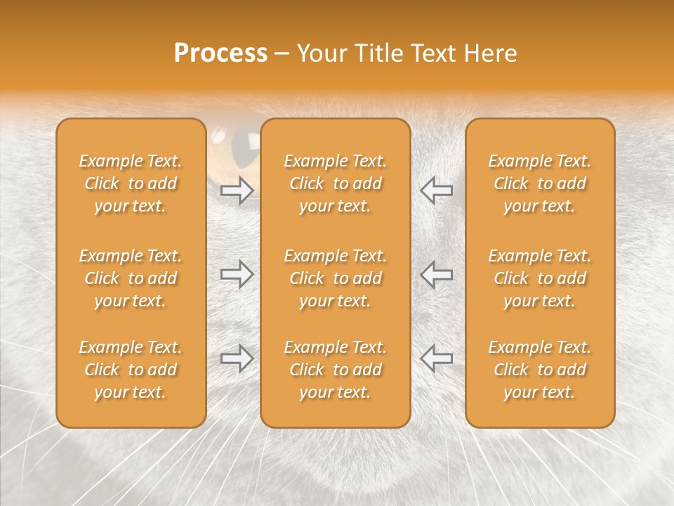 Household Charming Beautiful PowerPoint Template