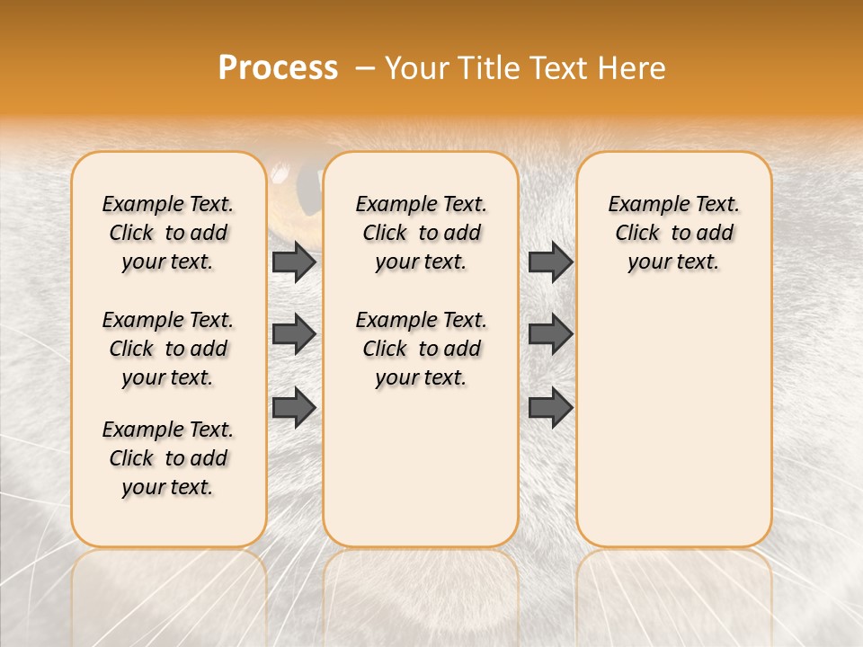 Household Charming Beautiful PowerPoint Template