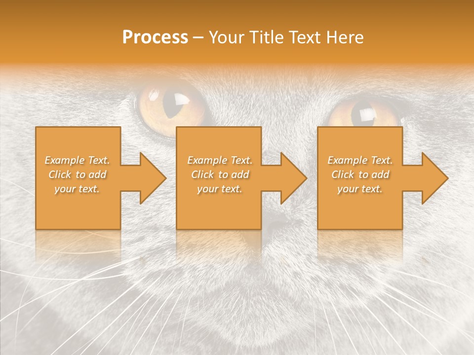 Household Charming Beautiful PowerPoint Template