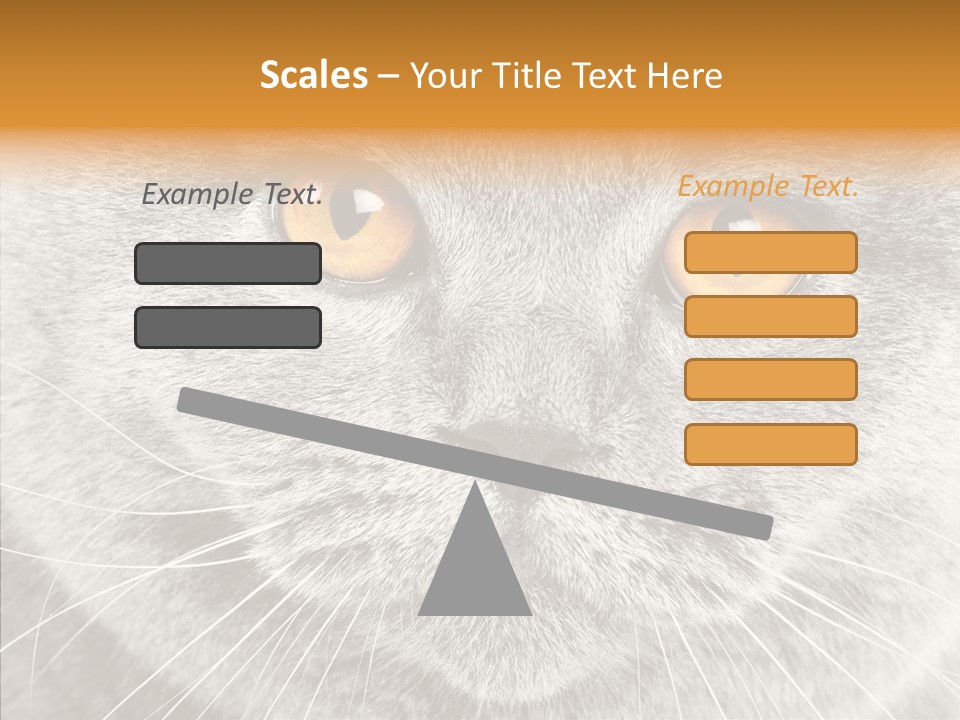 Household Charming Beautiful PowerPoint Template