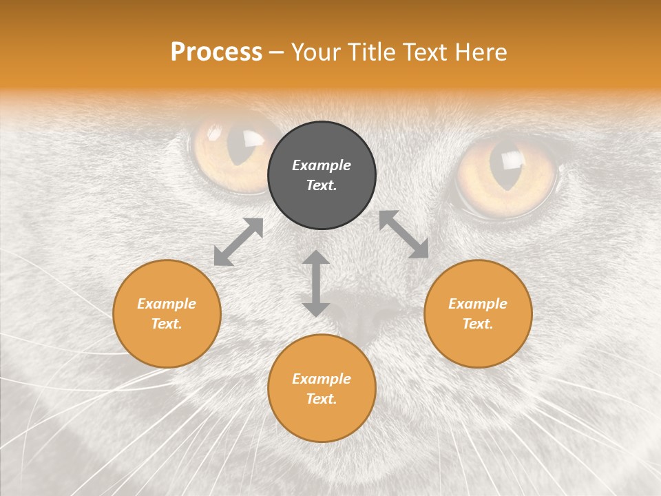 Household Charming Beautiful PowerPoint Template