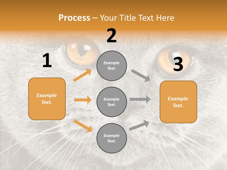 Household Charming Beautiful PowerPoint Template