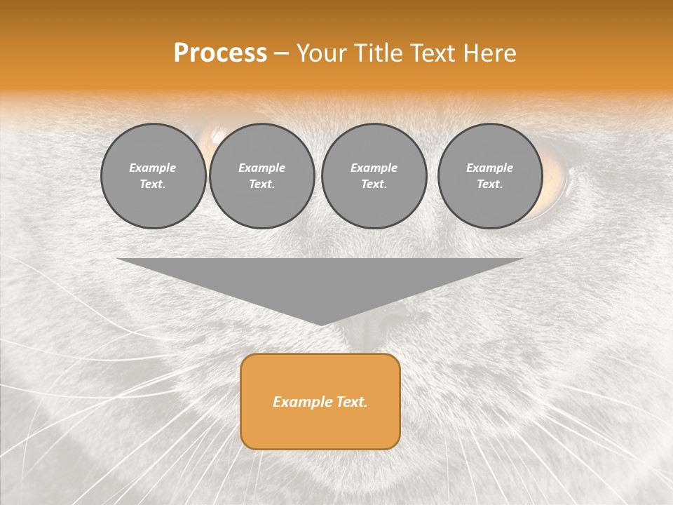 Household Charming Beautiful PowerPoint Template