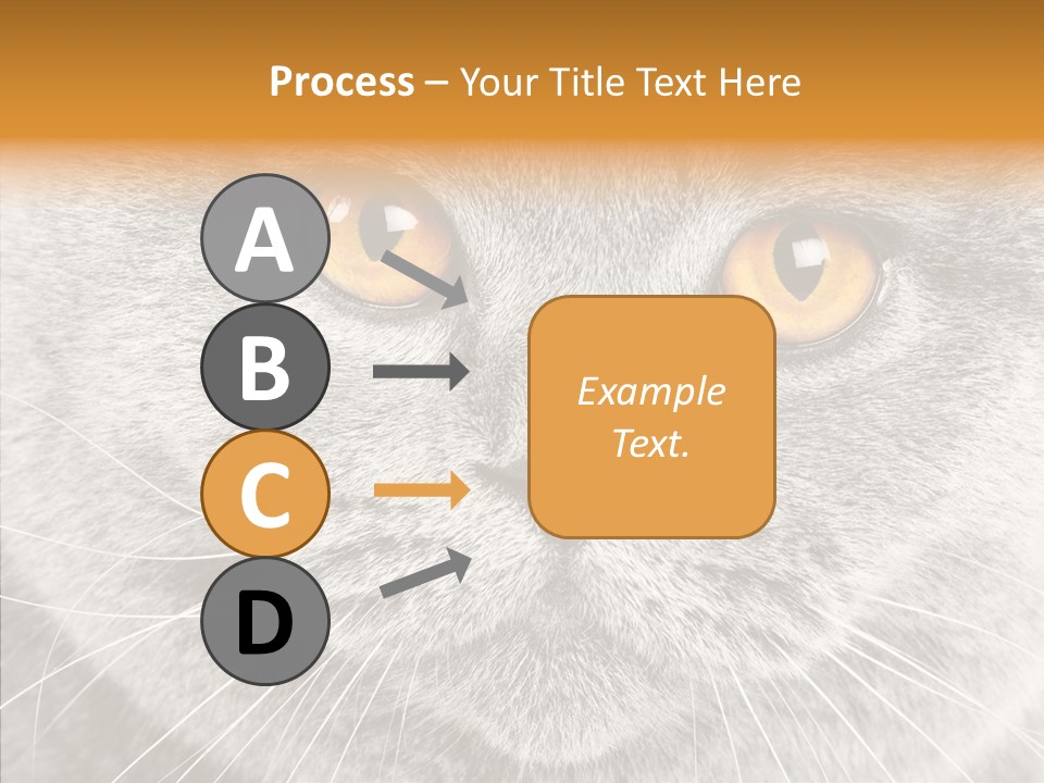 Household Charming Beautiful PowerPoint Template