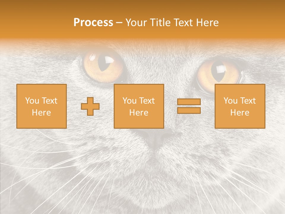 Household Charming Beautiful PowerPoint Template