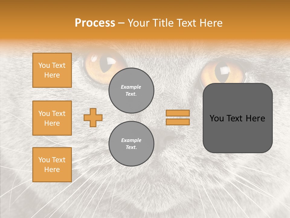 Household Charming Beautiful PowerPoint Template