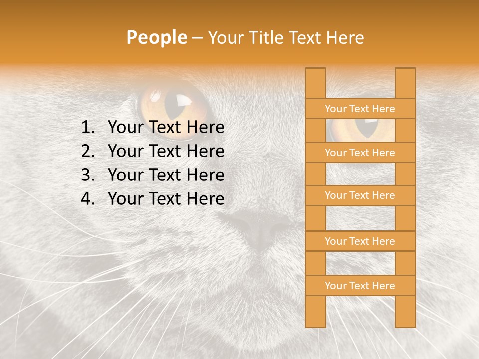 Household Charming Beautiful PowerPoint Template