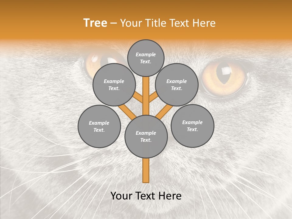 Household Charming Beautiful PowerPoint Template