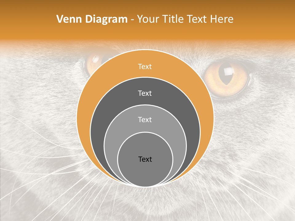 Household Charming Beautiful PowerPoint Template