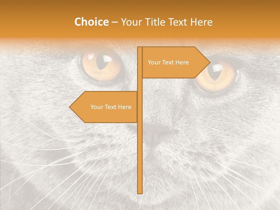 Household Charming Beautiful PowerPoint Template