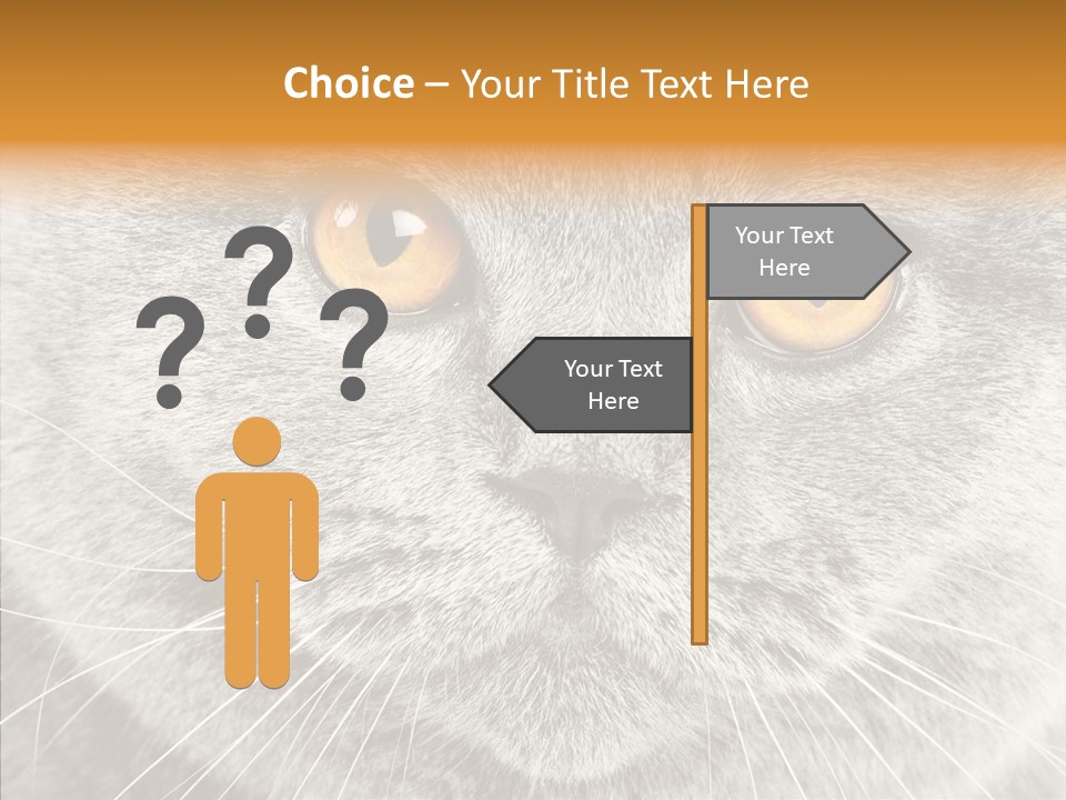 Household Charming Beautiful PowerPoint Template