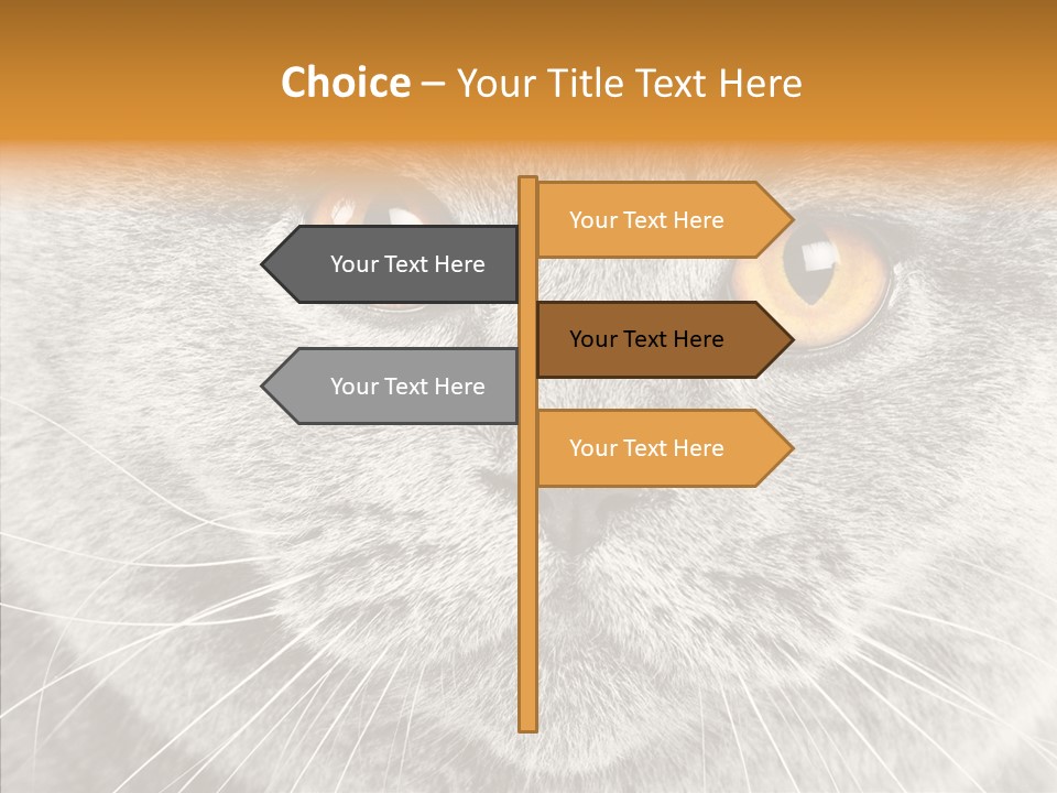 Household Charming Beautiful PowerPoint Template