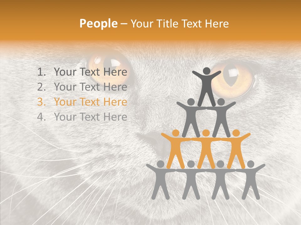 Household Charming Beautiful PowerPoint Template