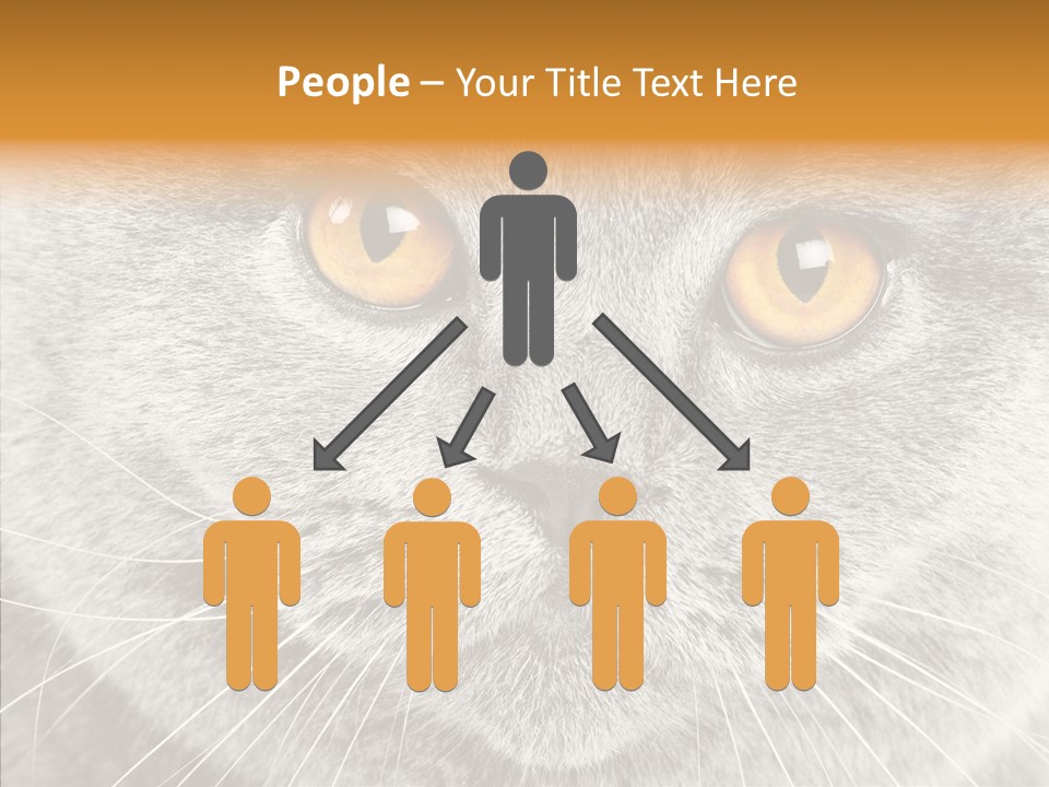 Household Charming Beautiful PowerPoint Template