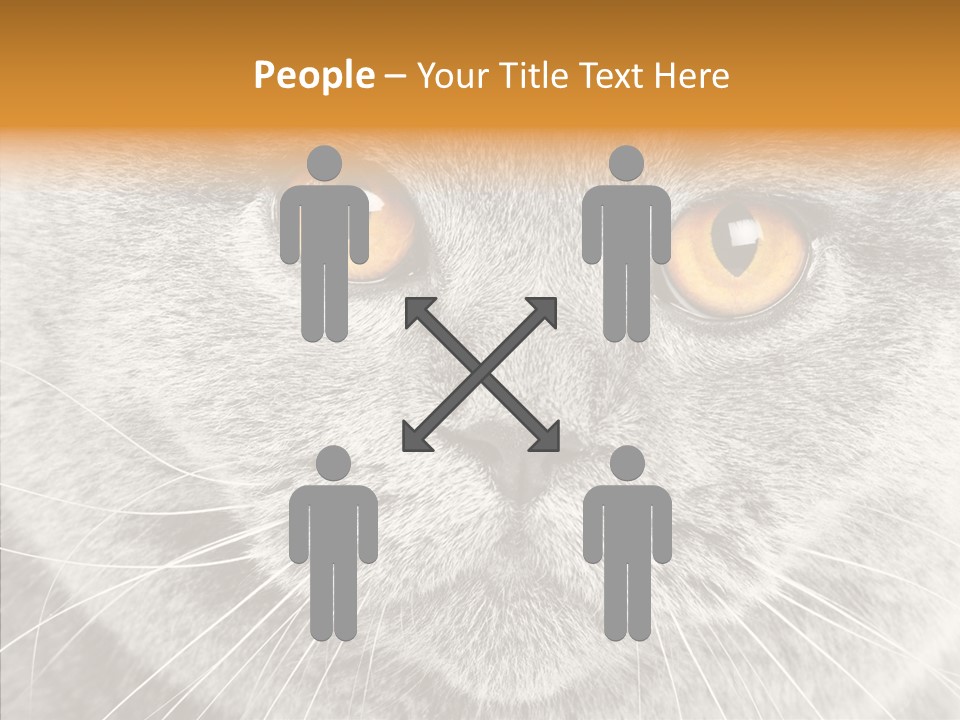 Household Charming Beautiful PowerPoint Template