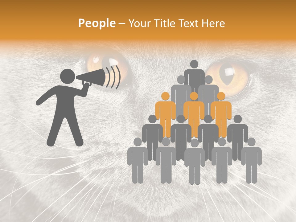 Household Charming Beautiful PowerPoint Template