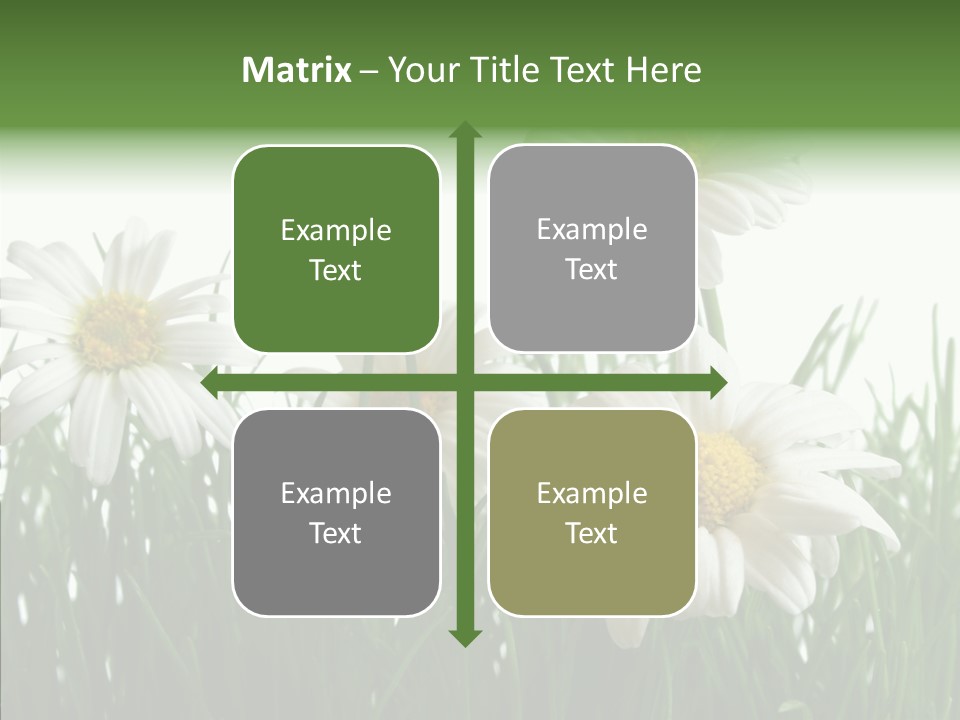 Flower Growth Grass PowerPoint Template