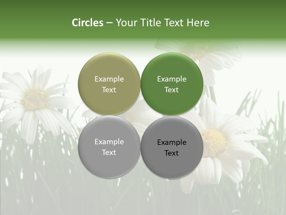 Flower Growth Grass PowerPoint Template