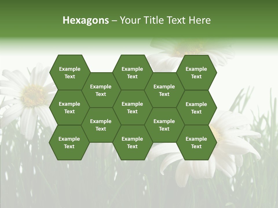 Flower Growth Grass PowerPoint Template