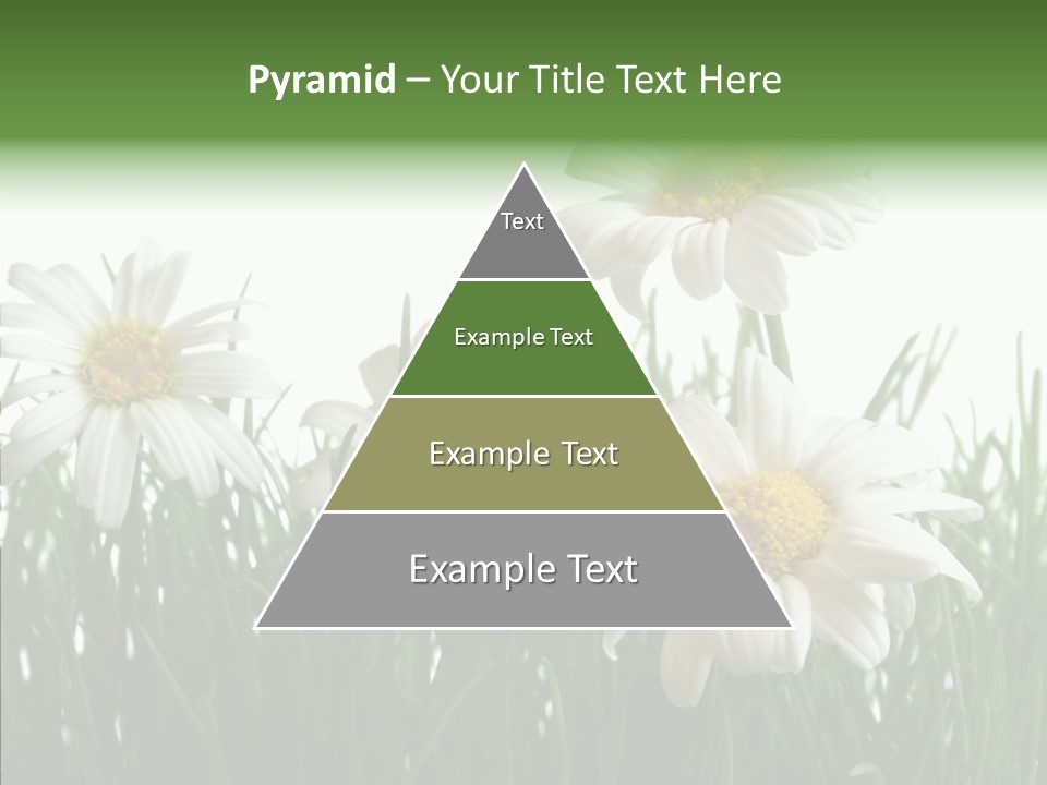 Flower Growth Grass PowerPoint Template